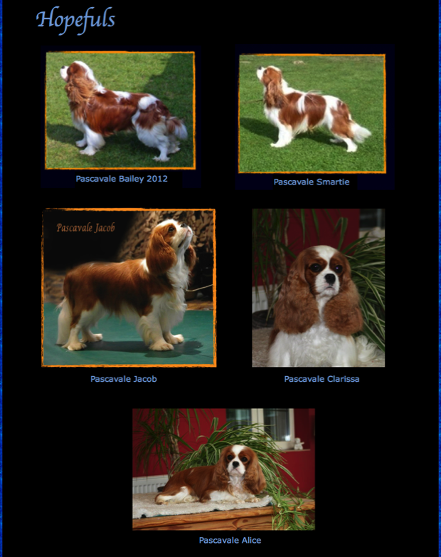 Pascavale cavaliers discount